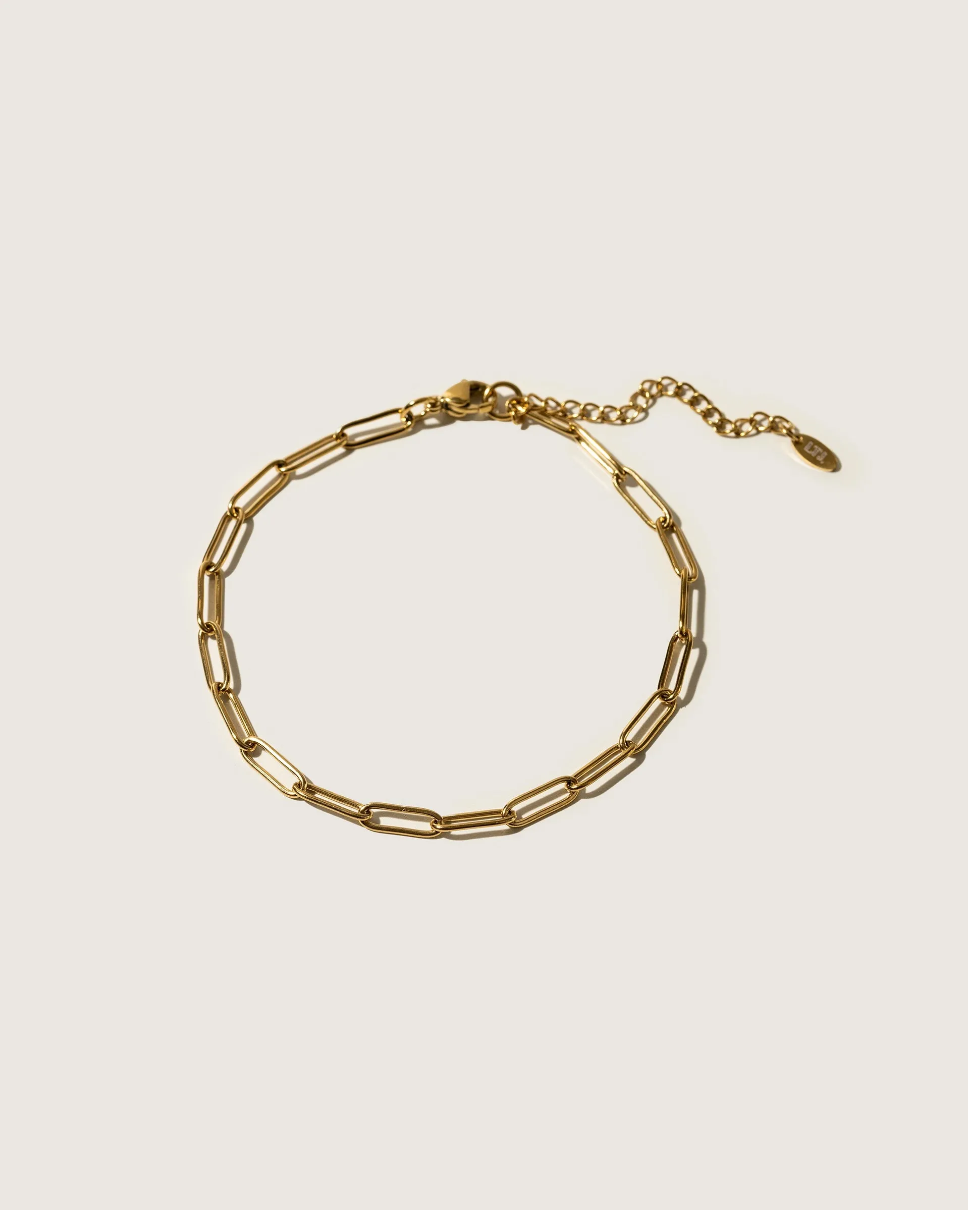 Anklet paper clip - shell