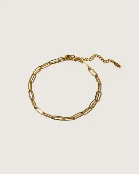 Anklet paper clip - shell