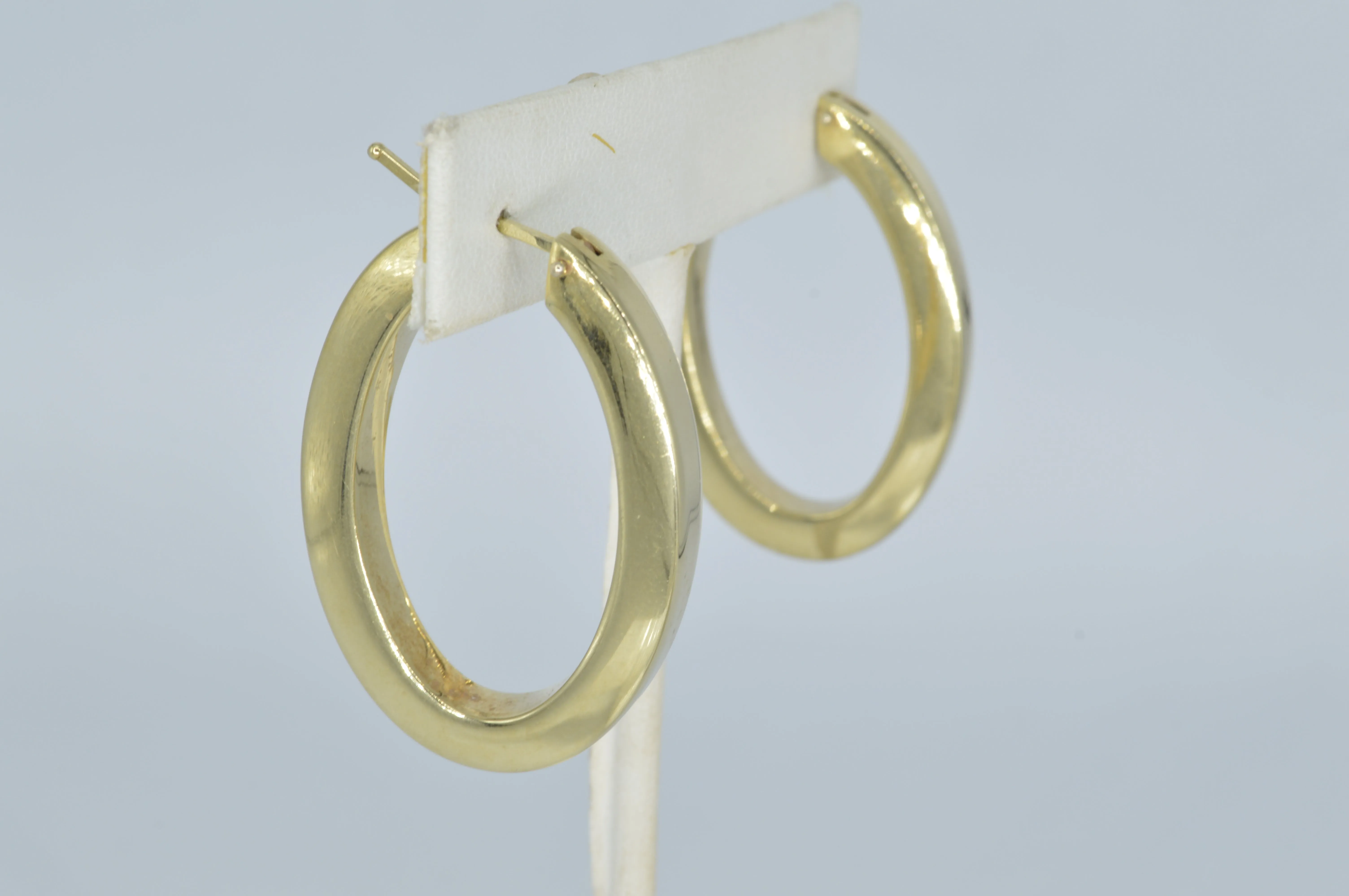 Thick Oval Plain Hoops
