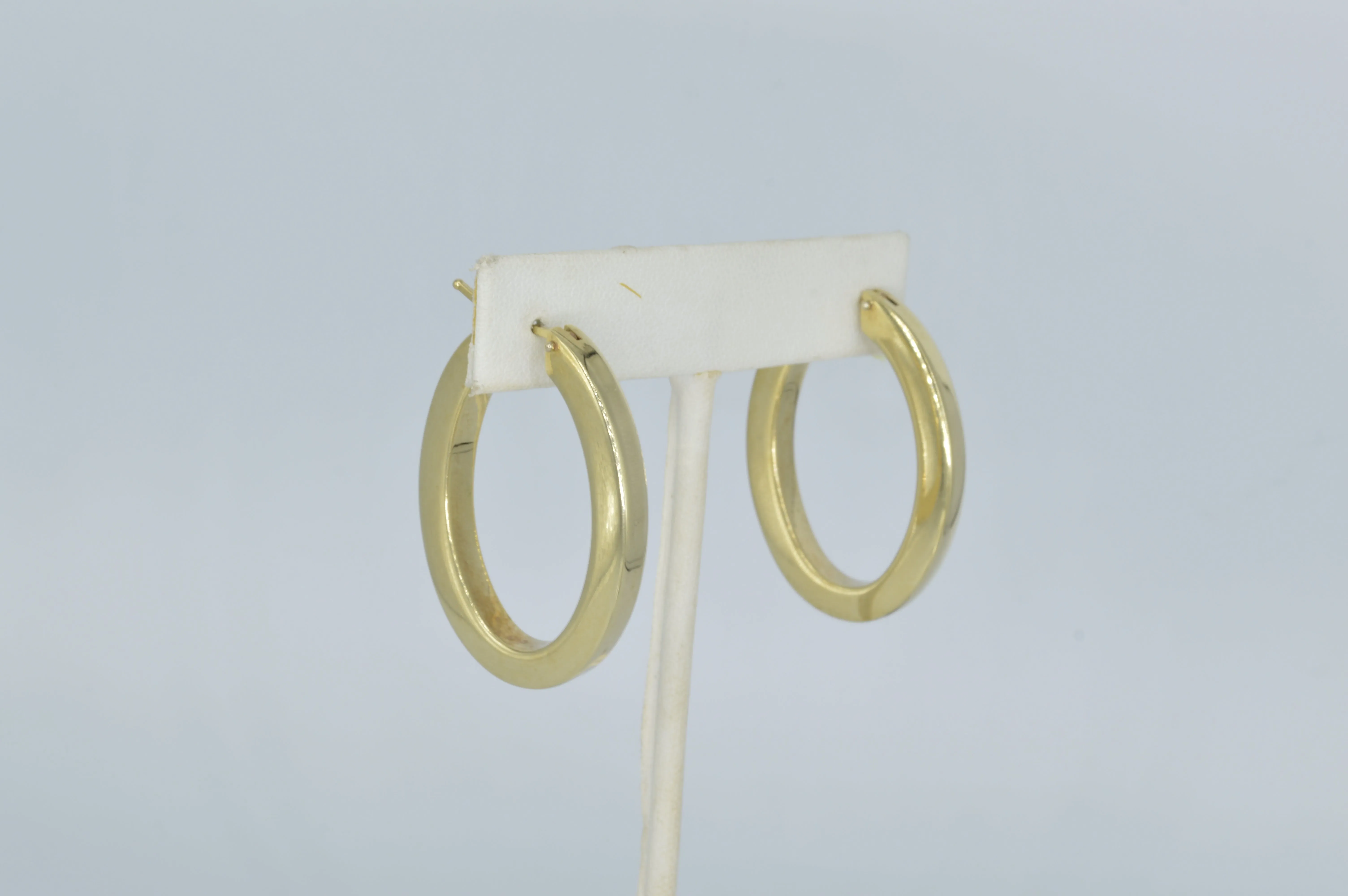 Thick Oval Plain Hoops